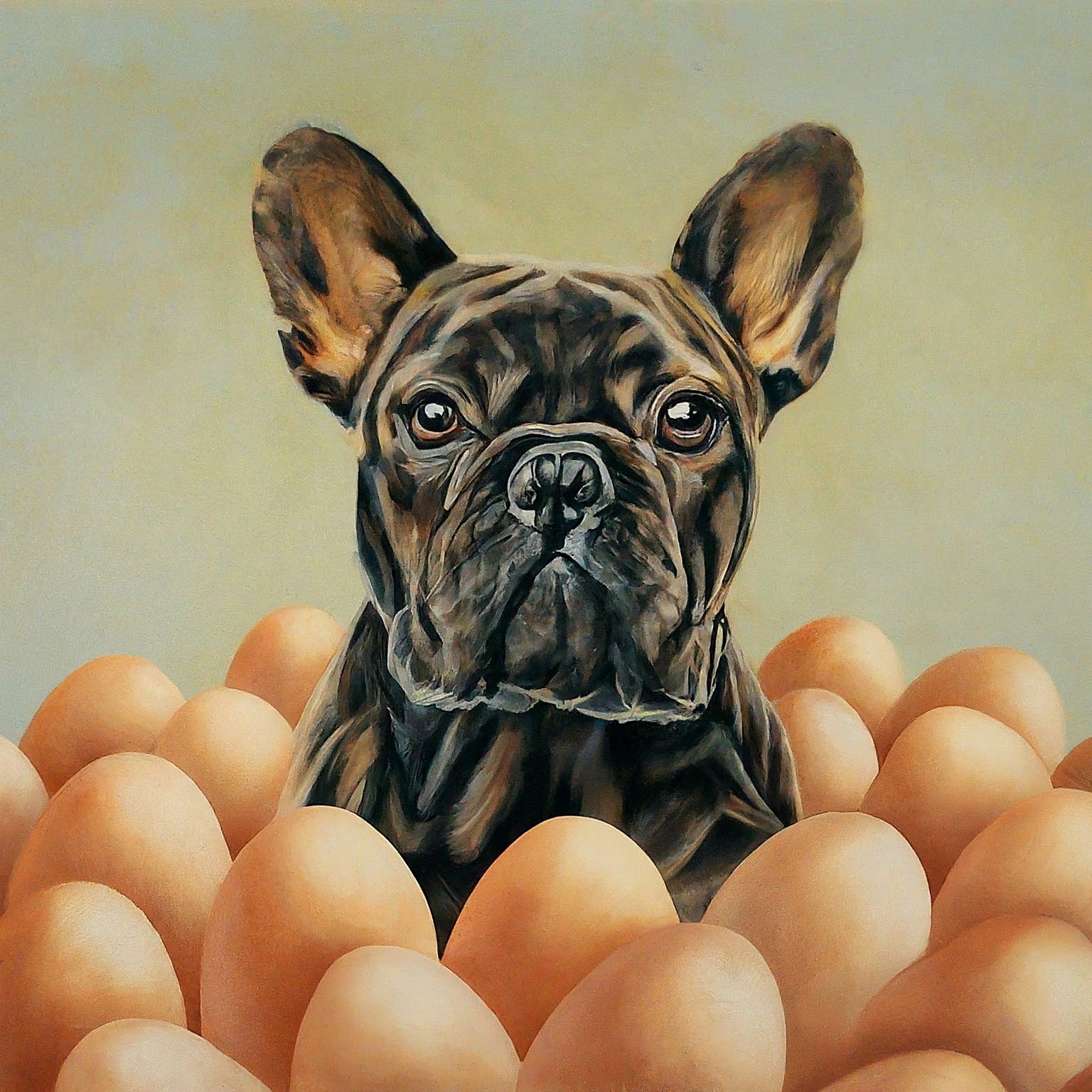 dog in the middle of eggs - Os cães podem comer ovos - Can dogs eat eggs?
